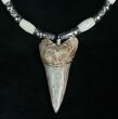 Fossil Mako Tooth Necklace - Bakersfield, CA #5330-1